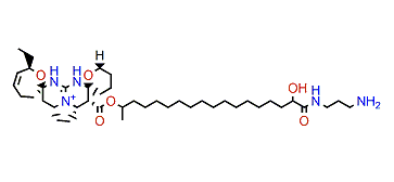 Normonanchocidin H